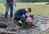  老牌劲旅深陷降级泥潭  